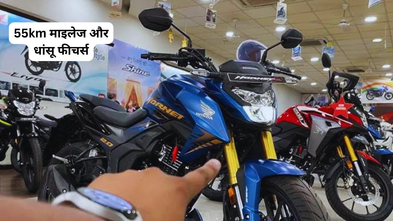 Honda Hornet 2.0 Bike