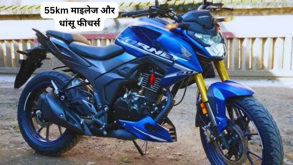 Honda Hornet 2.0 Bike