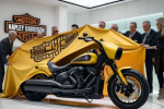 2025 Harley-Davidson Forty-Eight